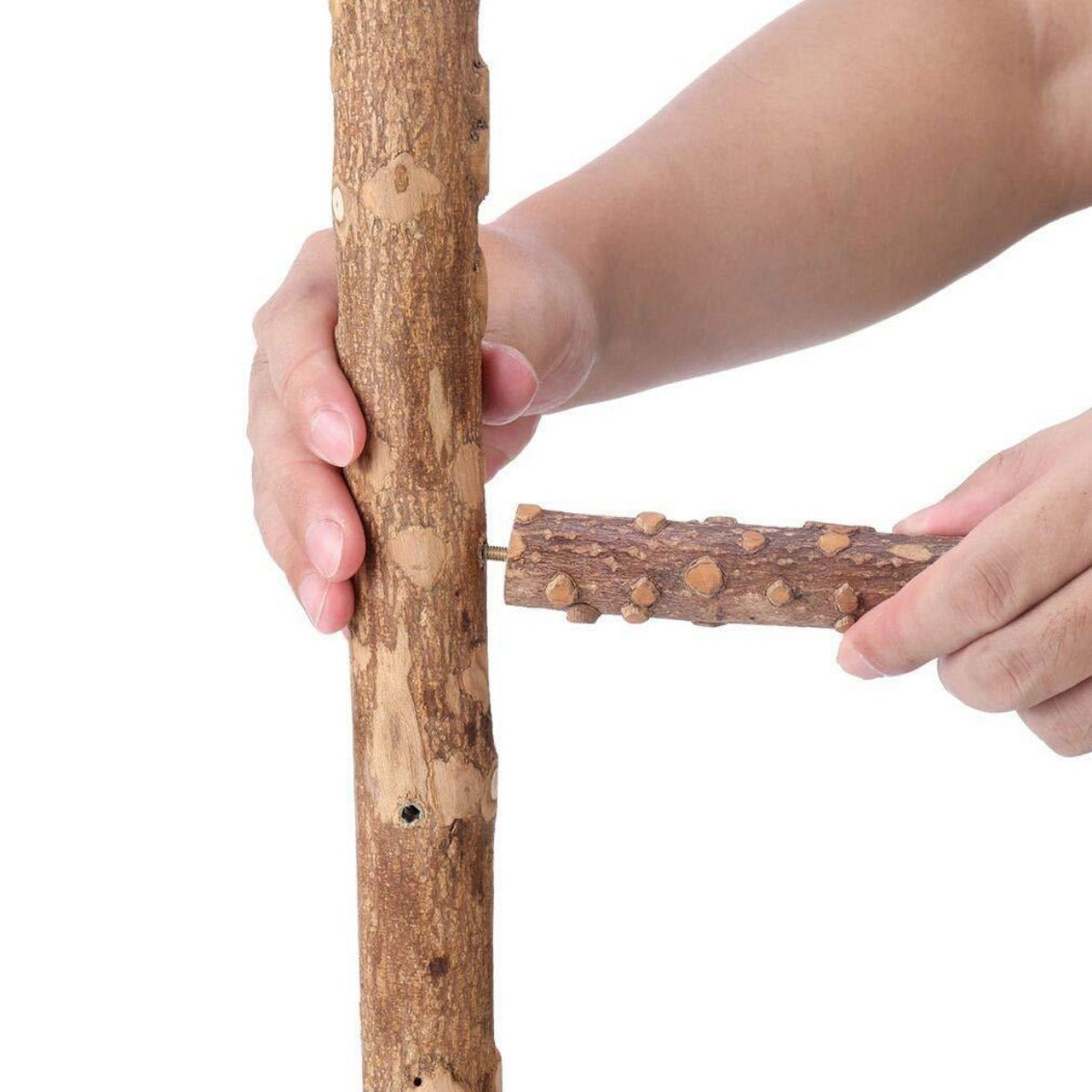 Pepper Wood Bird Activity Stand