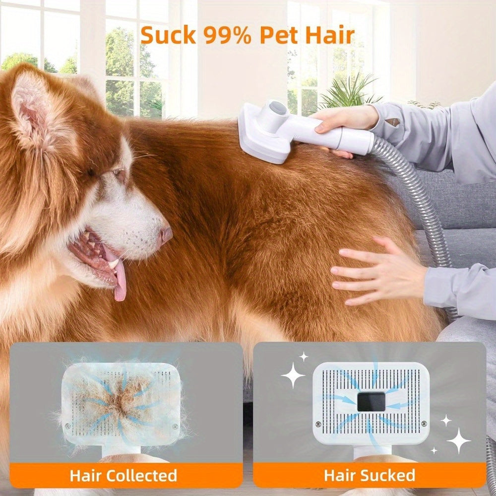 Dog Grooming Kit