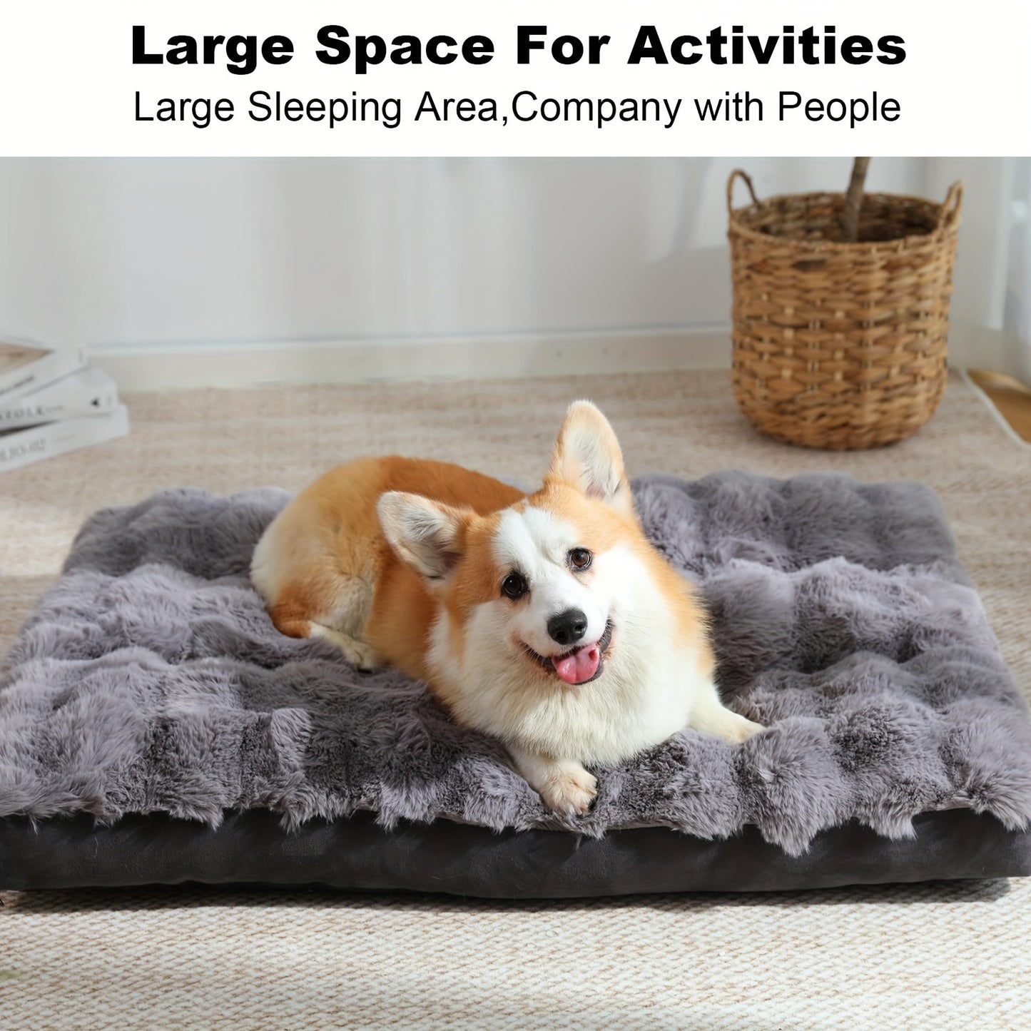 Extra Large Orthopedic Dog Bed