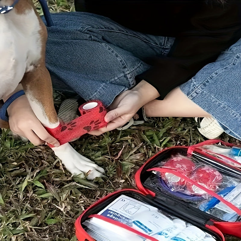 Pet Emergency Kit