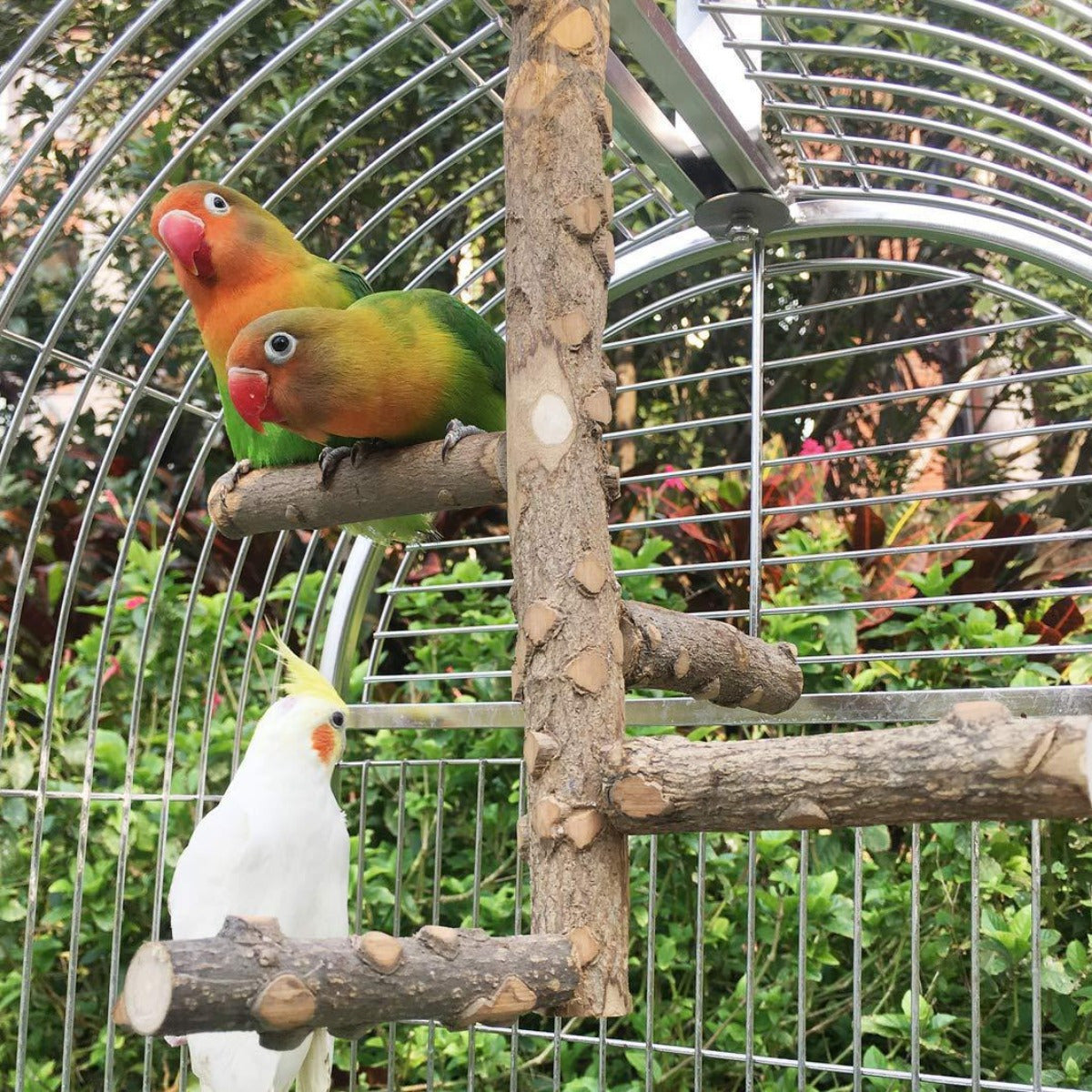 Pepper Wood Bird Activity Stand