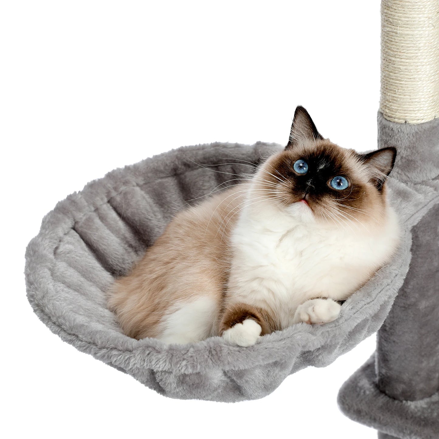 Cat Tree Towel