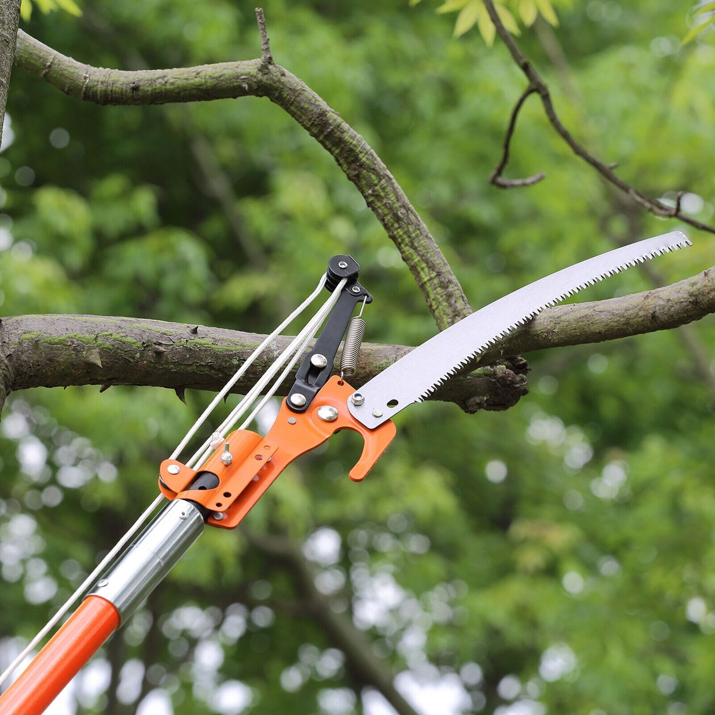 Pole Saw with Tree Pruner